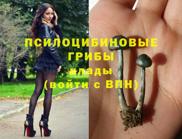 спиды Белокуриха
