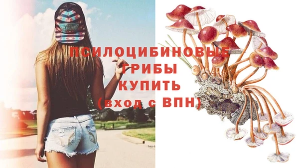 экстази Беломорск